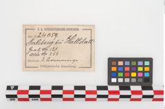 Etiketten zu Bronzehohlblecharmring (NHMW-PRAE-024059)